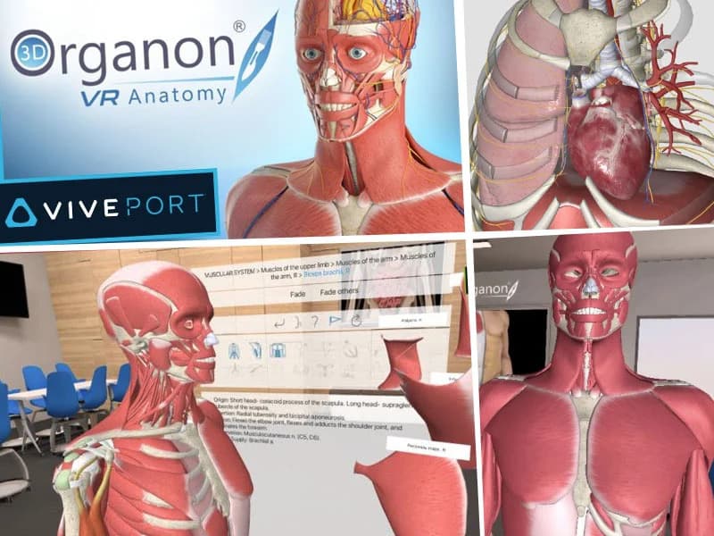 3d organon case study